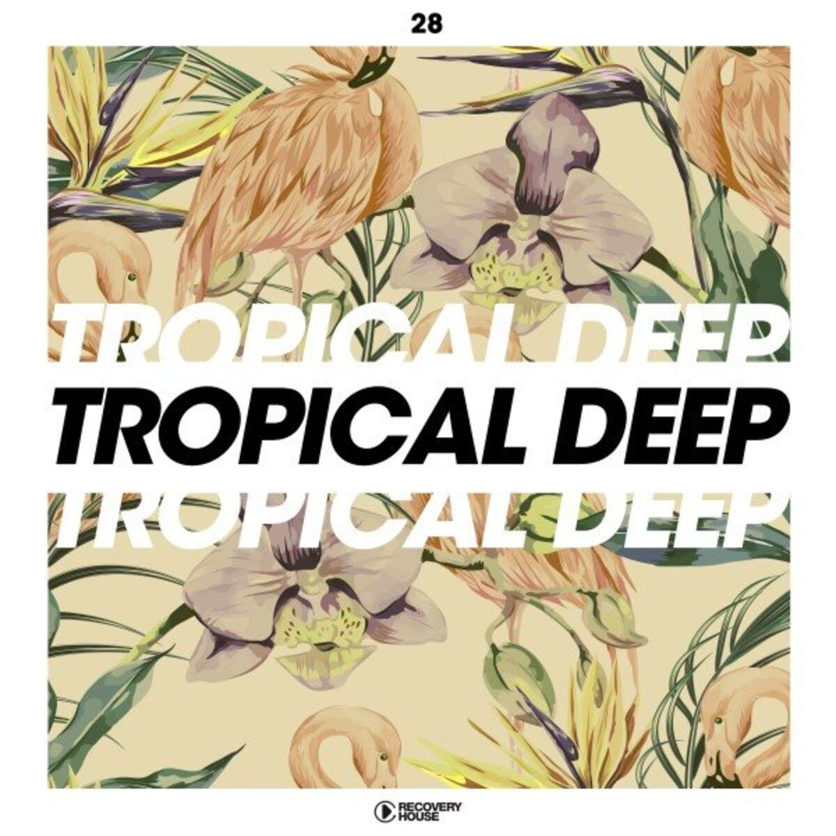 Album cover of Tropical Deep, Vol. 28
