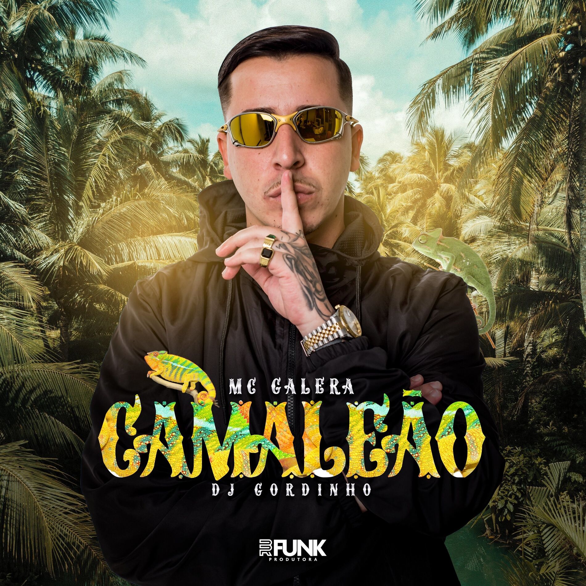 Album cover of Camaleão