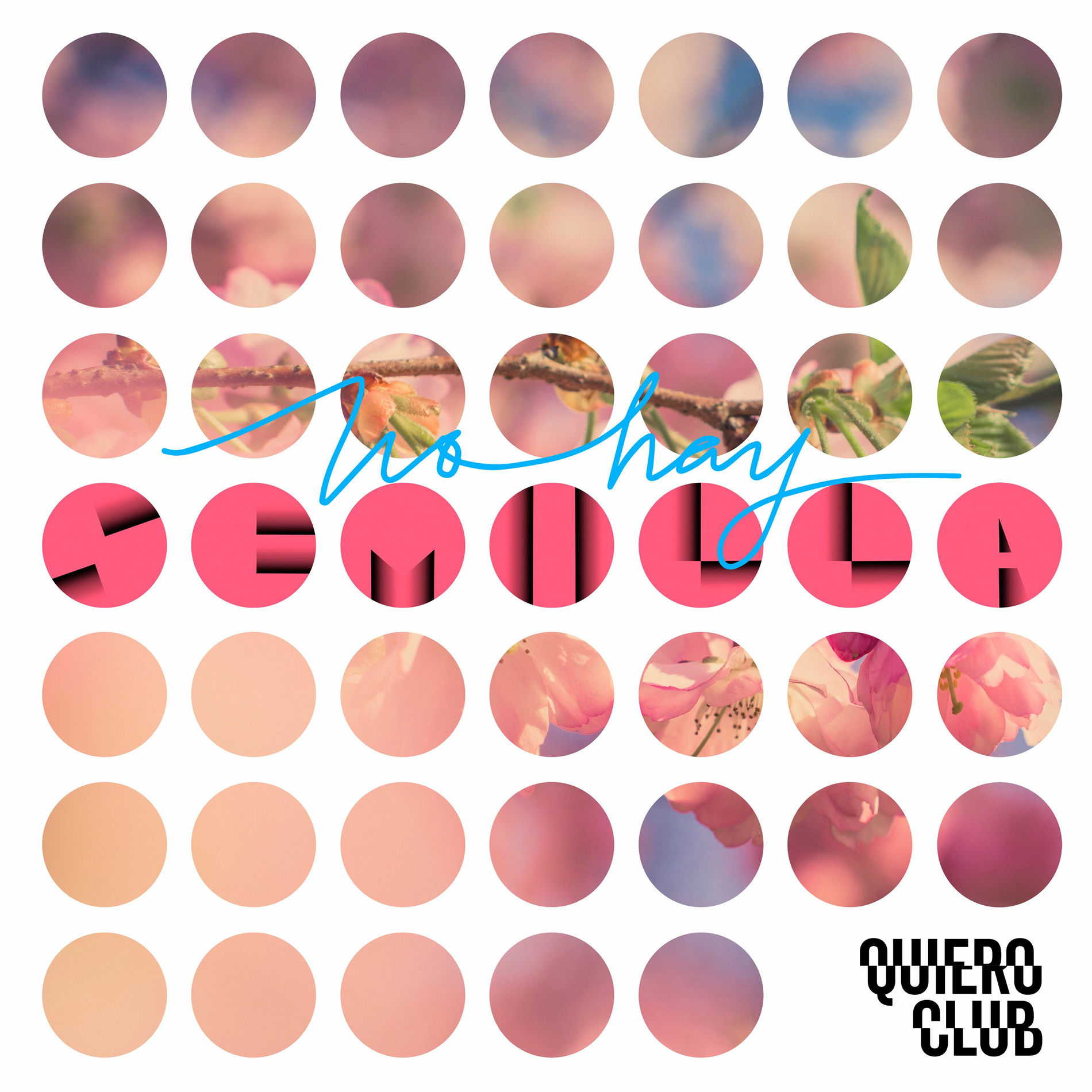Album cover of No hay Semilla (Remixes)