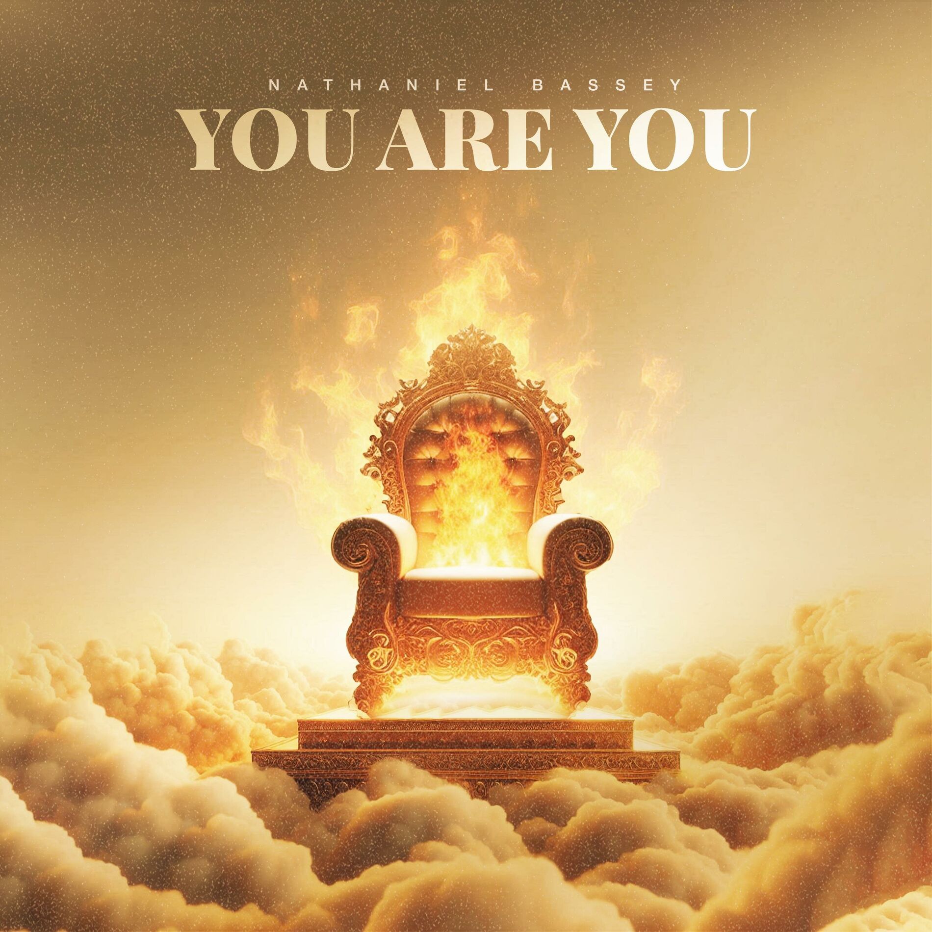 Album cover of You Are You