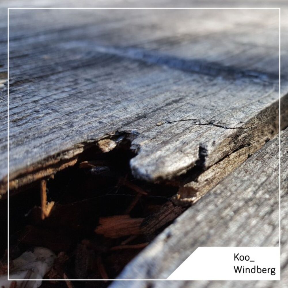 Picture of Windberg LP
