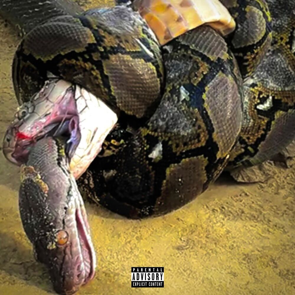 Picture of Can't Snake Tha Snake