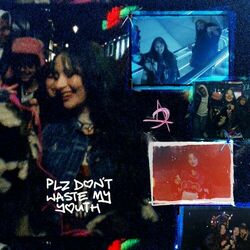 Cover of plz don't waste my youth