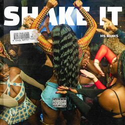 Cover of Shake It