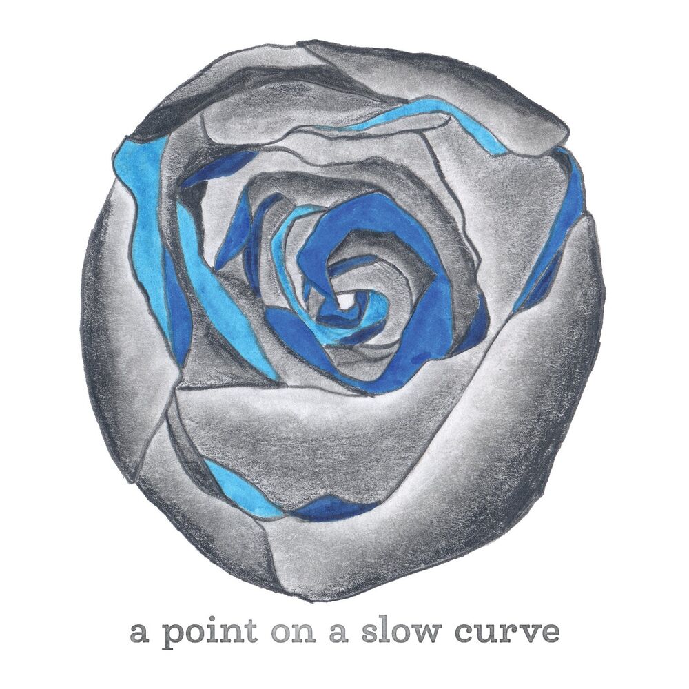 Picture of A Point On A Slow Curve