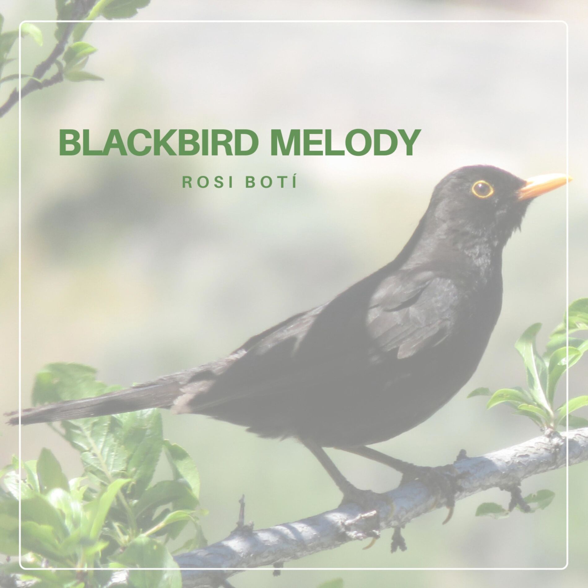 Album cover of Blackbird Melody