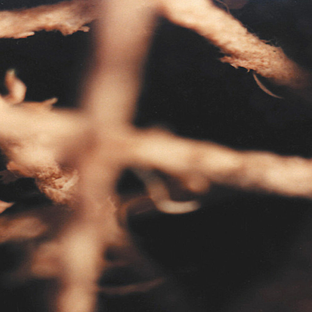 Picture of Twinewheel [Lost-Sides and Dusty-Gems 1994–2005]