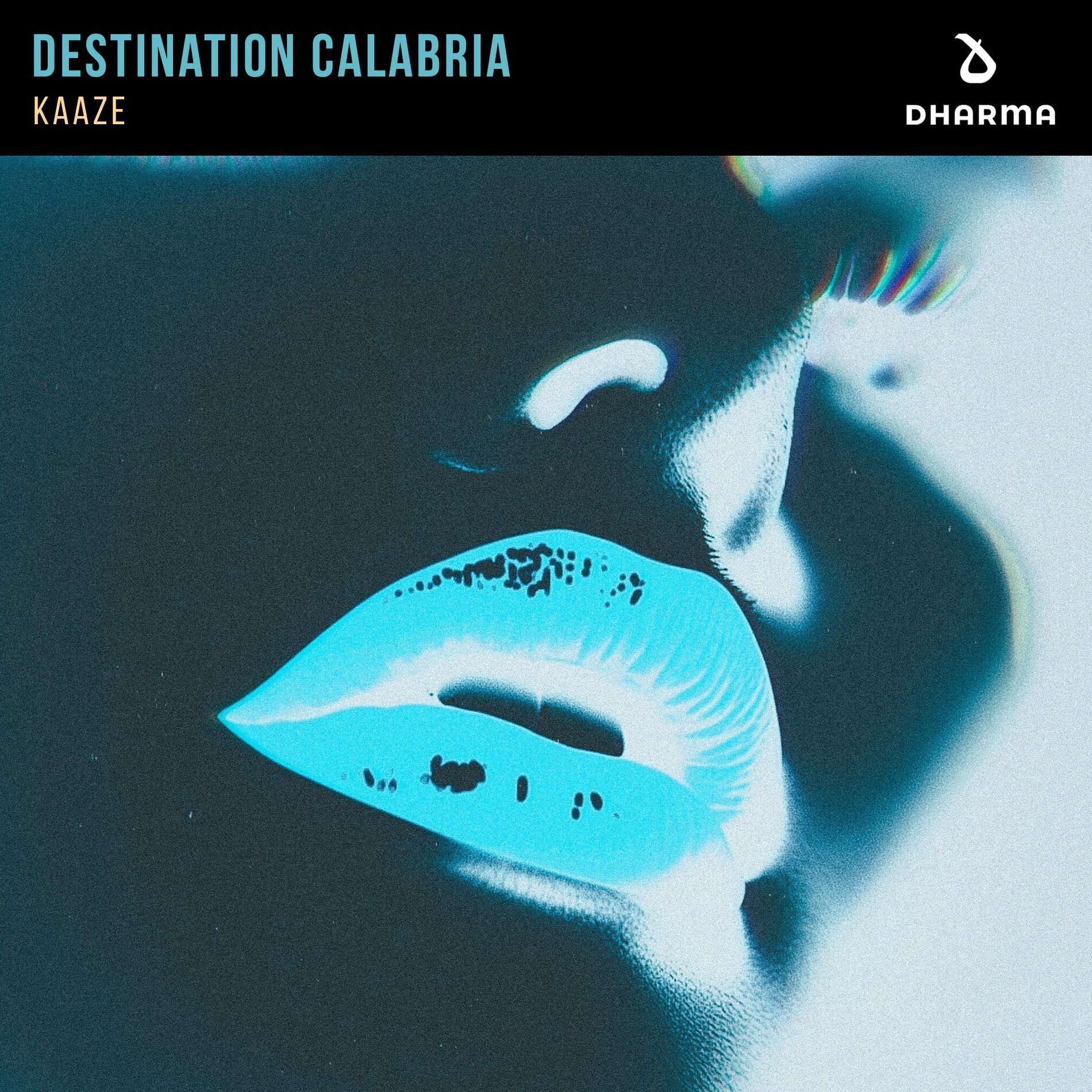 Album cover of Destination Calabria