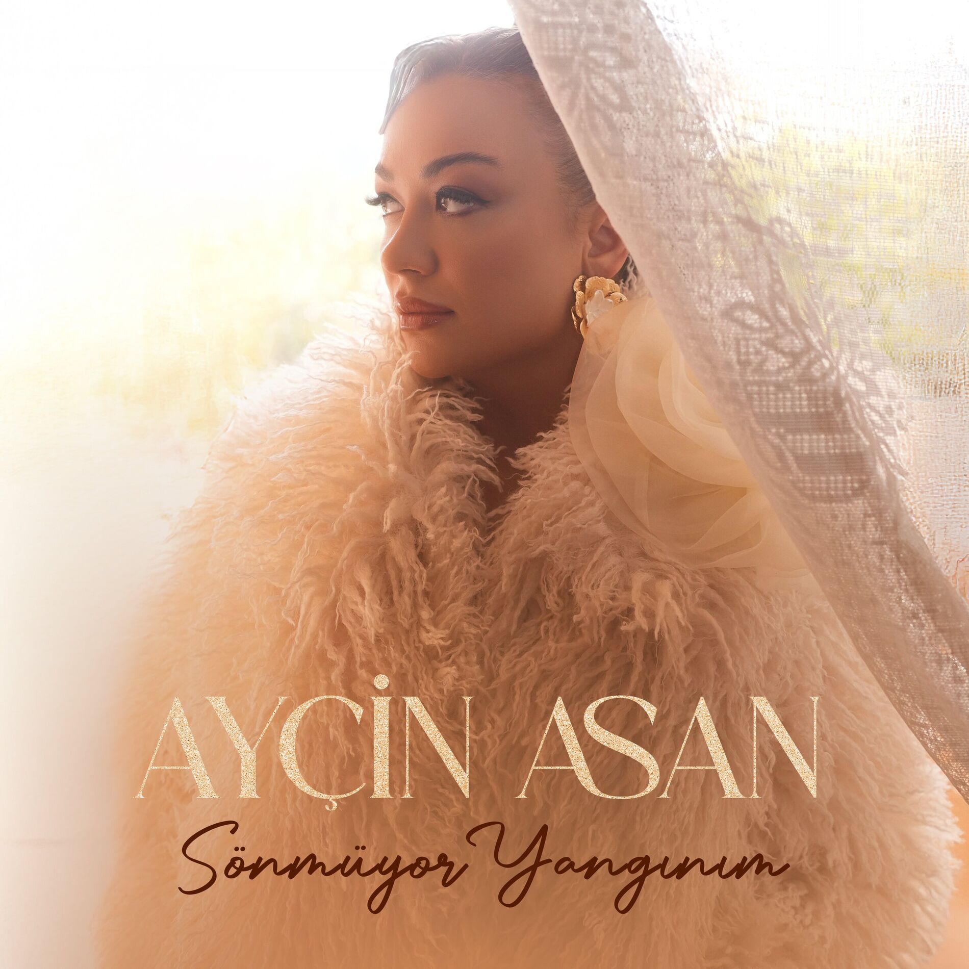 Album cover of Sönmüyor Yangınım