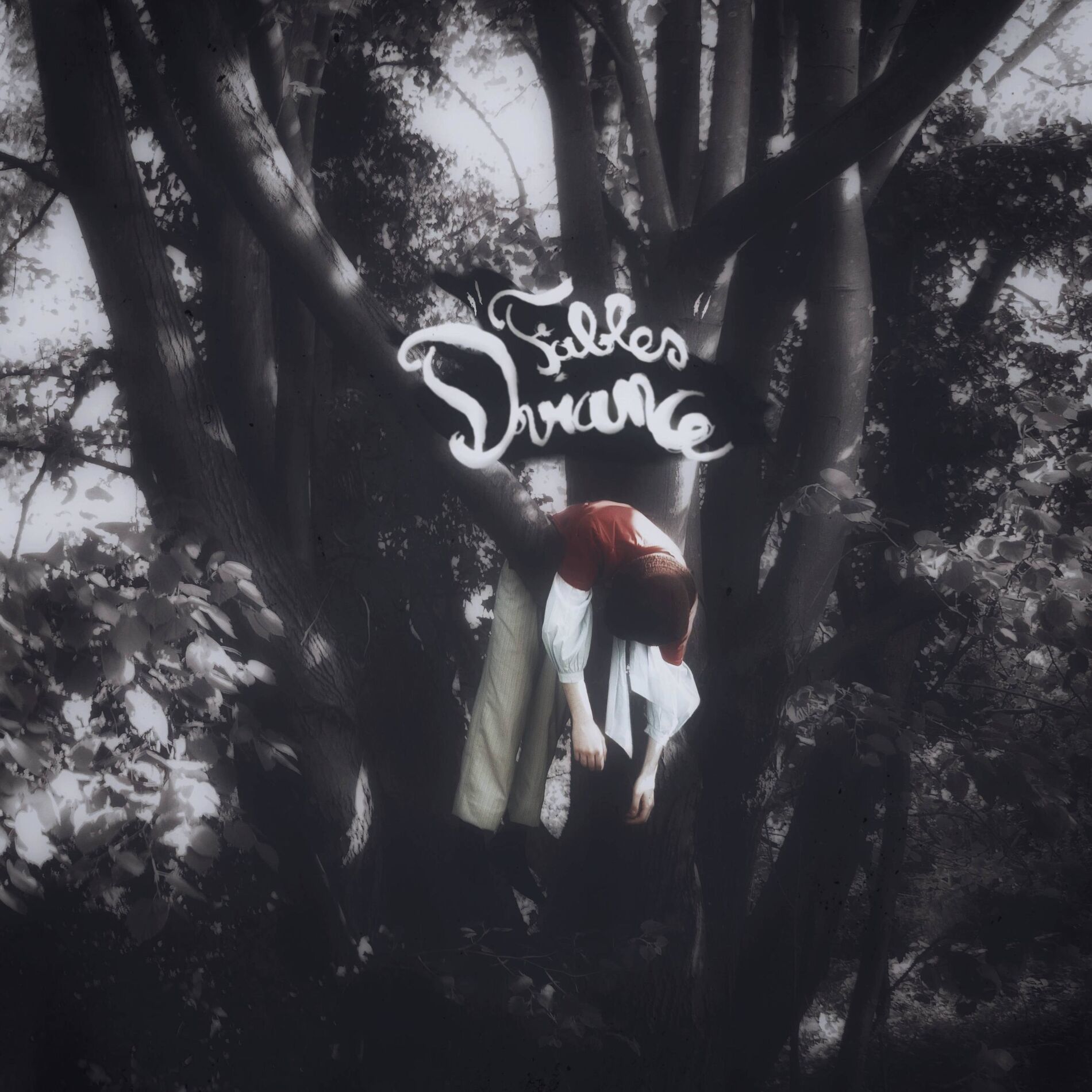 Album cover of Fables