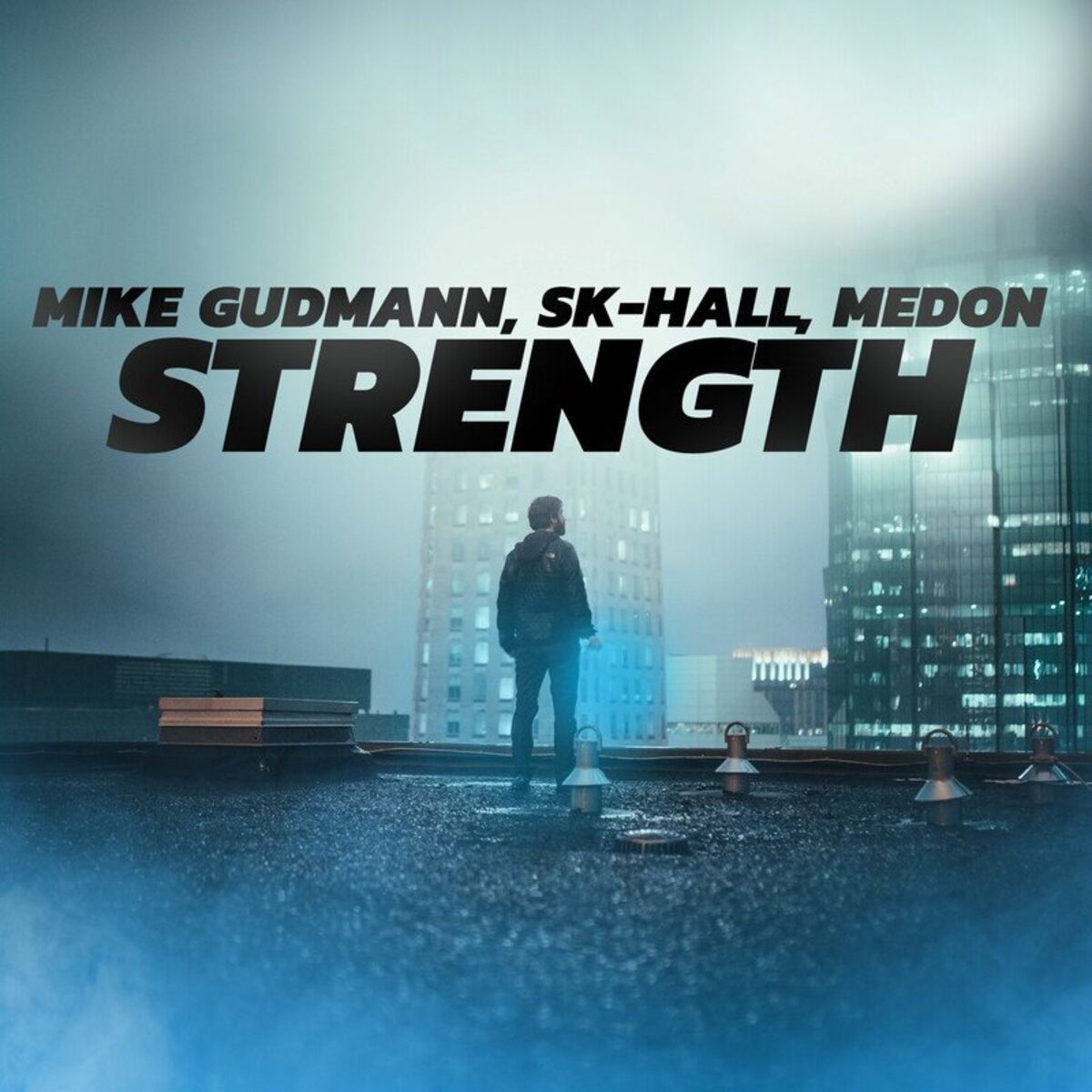 Album cover of Strength