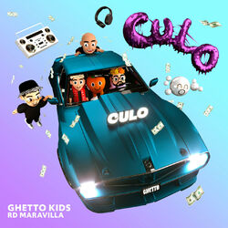 Cover of CULO