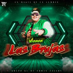 Cover of Vienen Las Brujas
