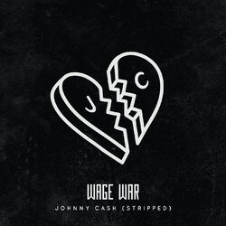 Cover of Johnny Cash (Stripped)