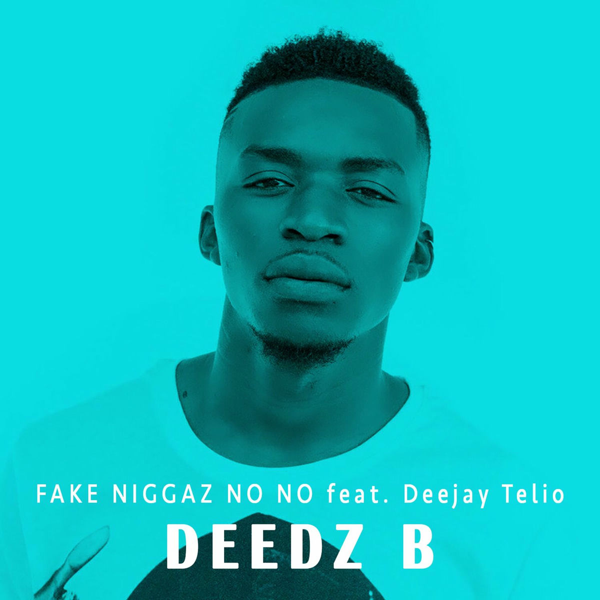 Album cover of Fake Niggaz no No