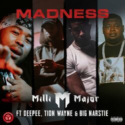 Cover of Madness