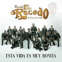 Cover of Esta Vida Es Muy Bonita