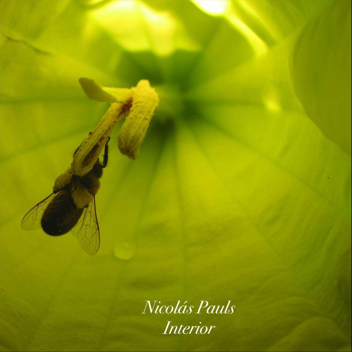 Album cover of Interior
