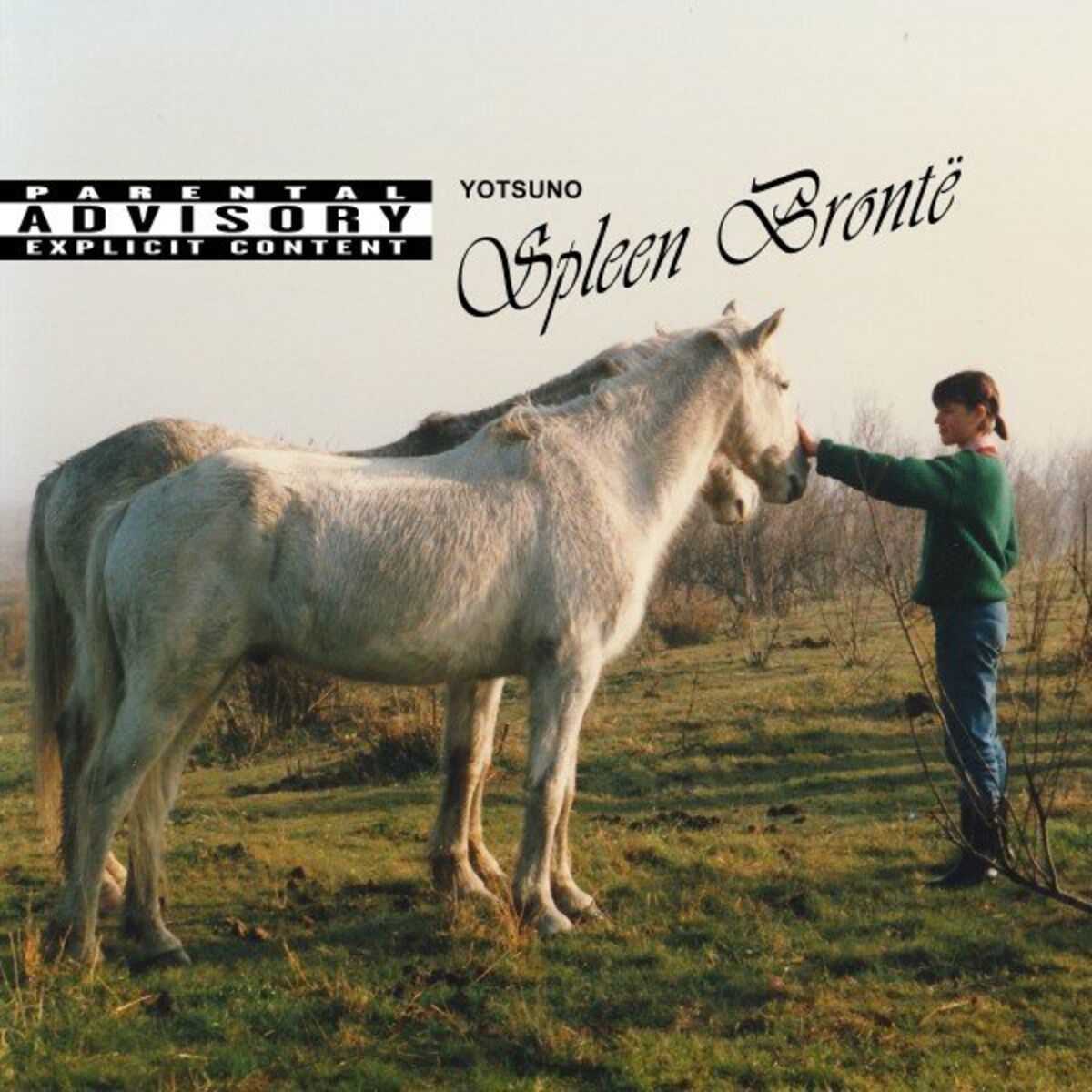 Album cover of Spleen Brontë