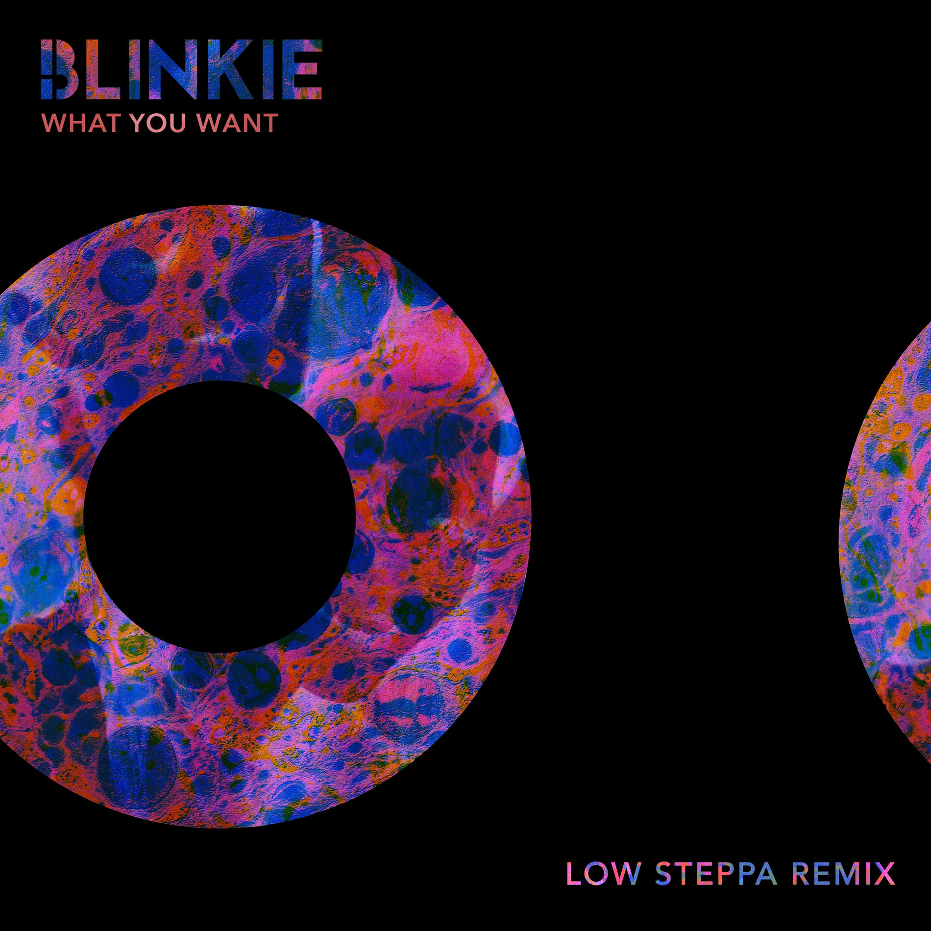 Album cover of What You Want (Low Steppa Remix)