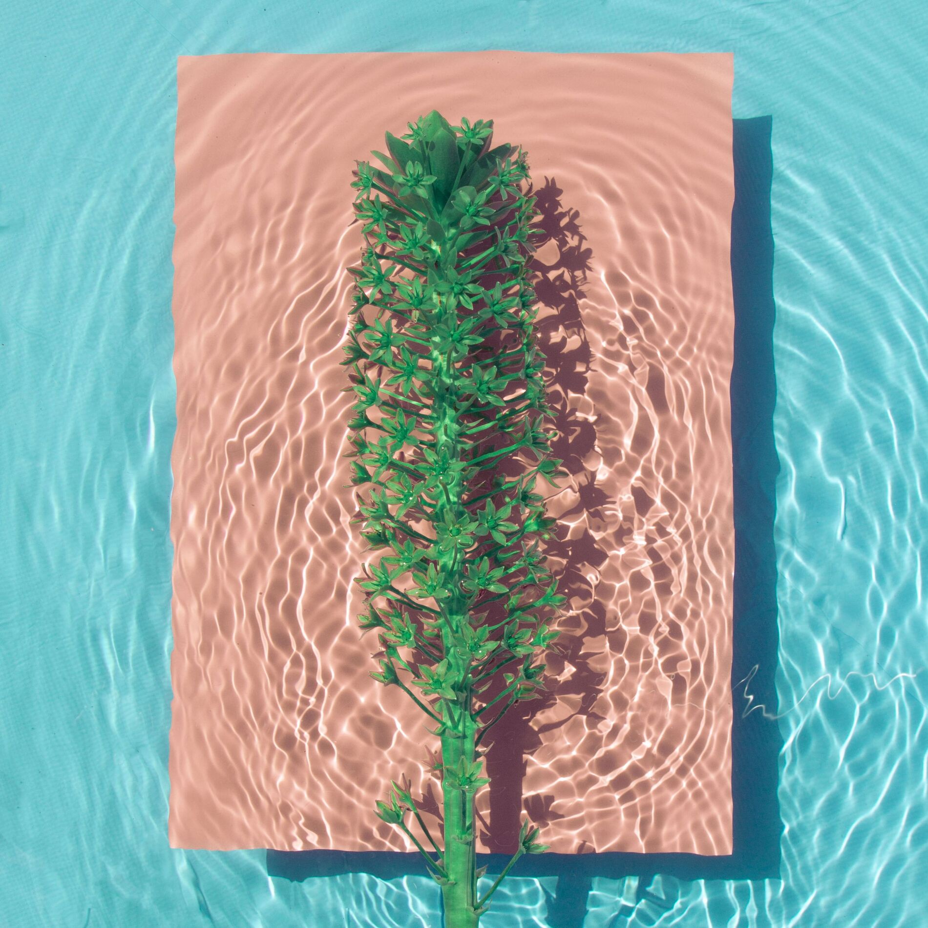 Album cover of Afternoon