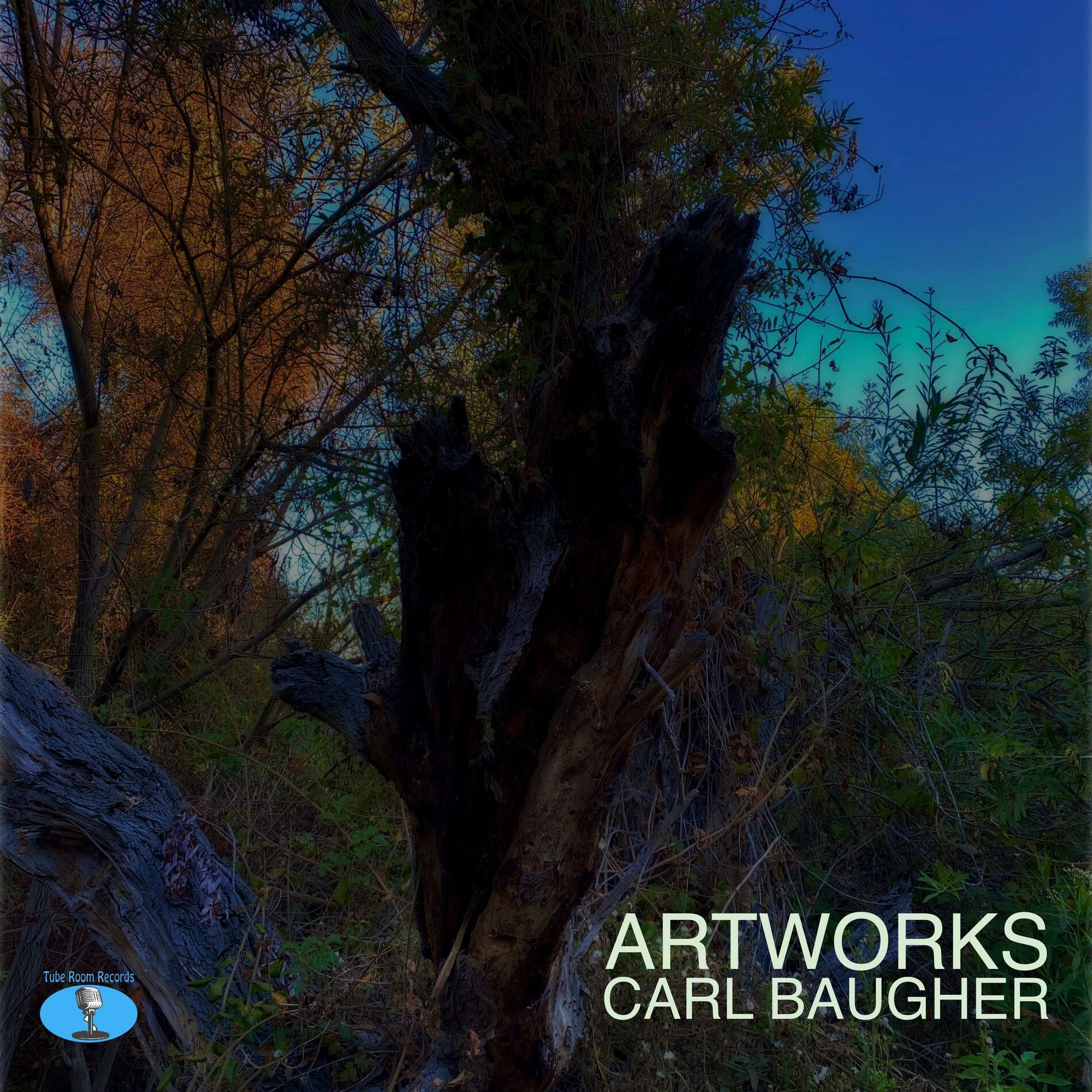 Album cover of Artworks