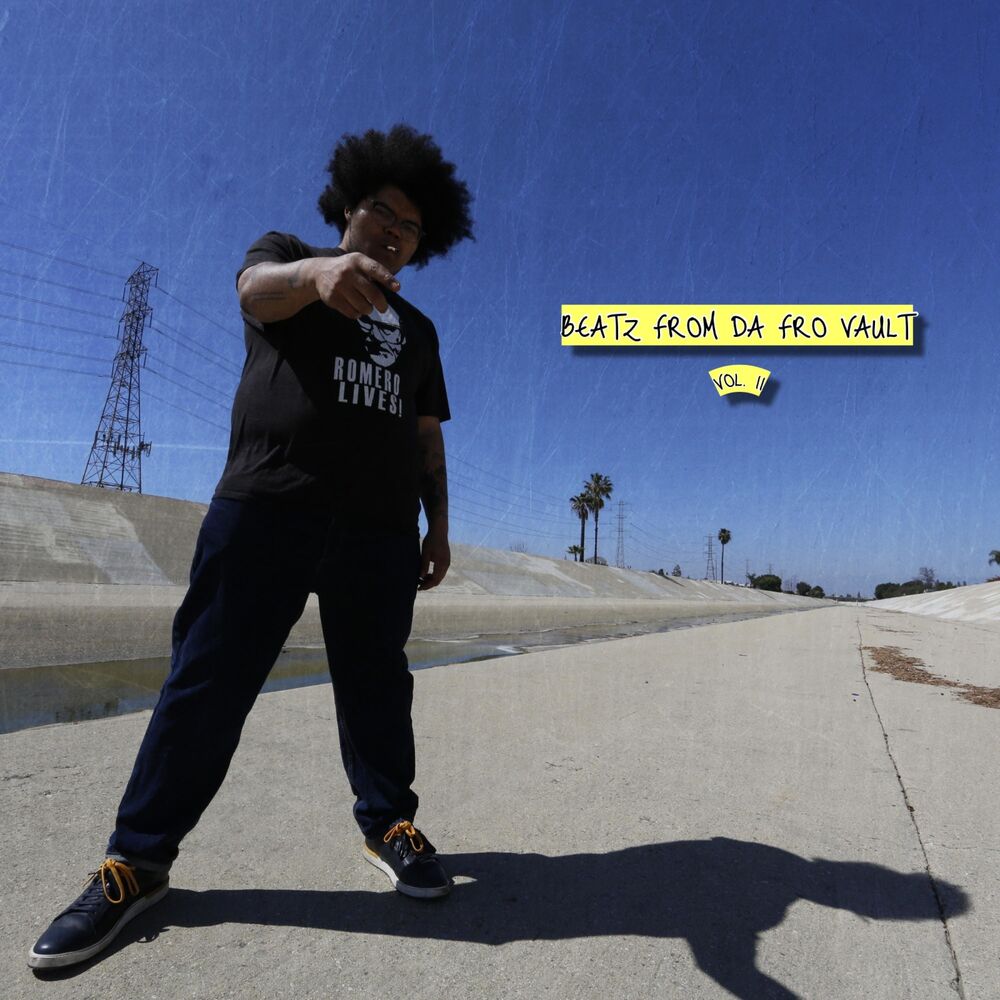 Picture of Beatz From da FRO Vault (Vol. II)