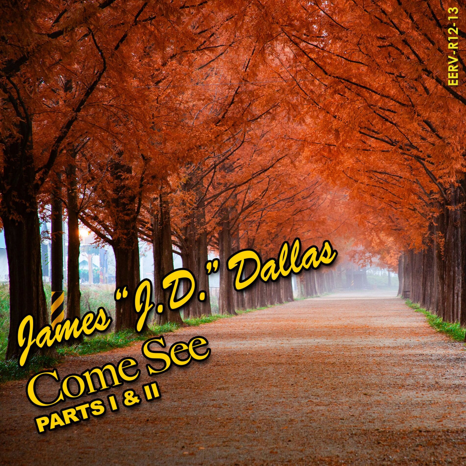 Album cover of Come See (Parts I & II)