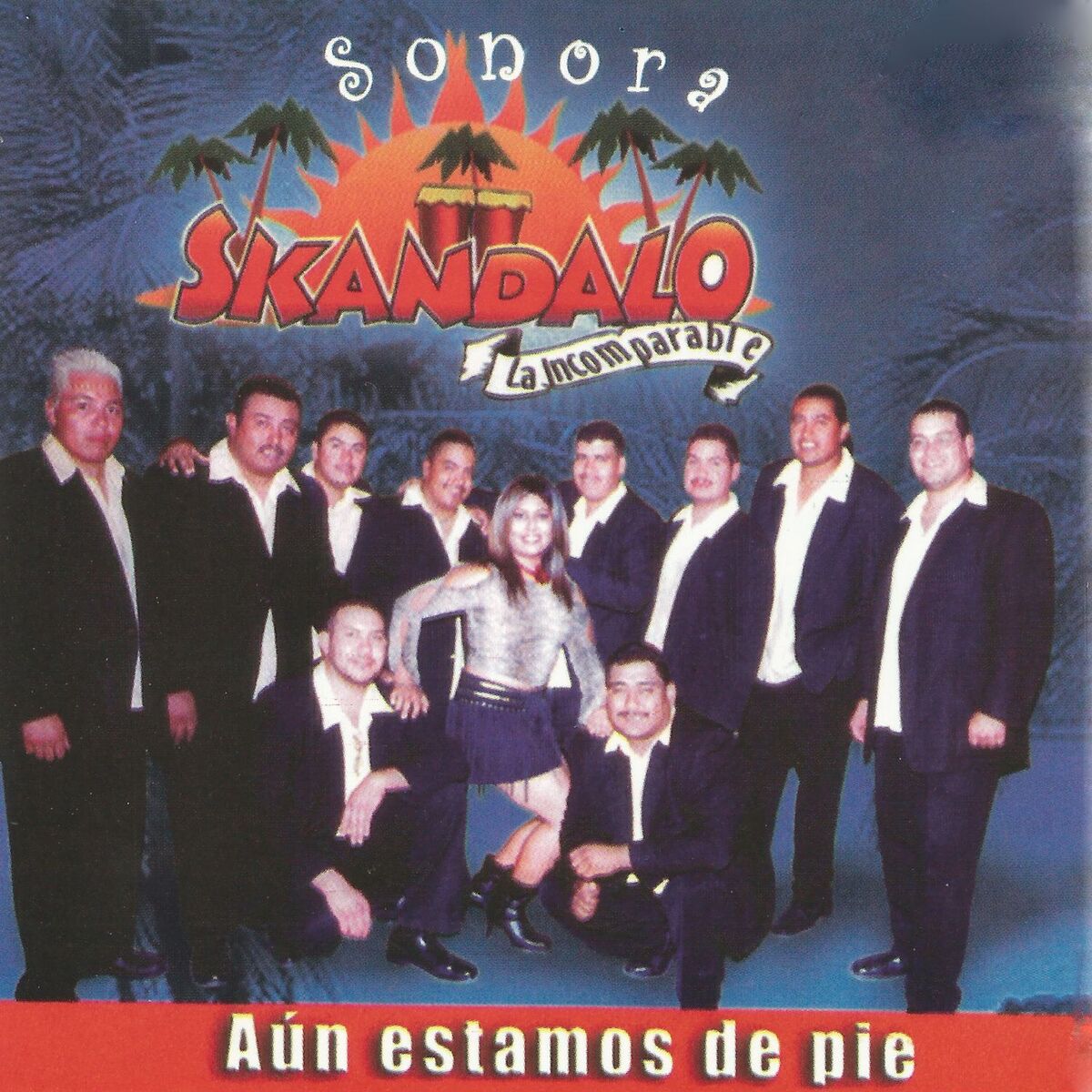Album cover of Aún Estoy de Pie