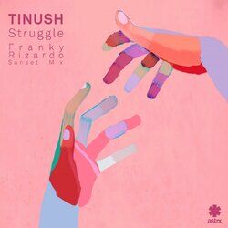 Cover of Struggle (Franky Rizardo Sunset Mix)