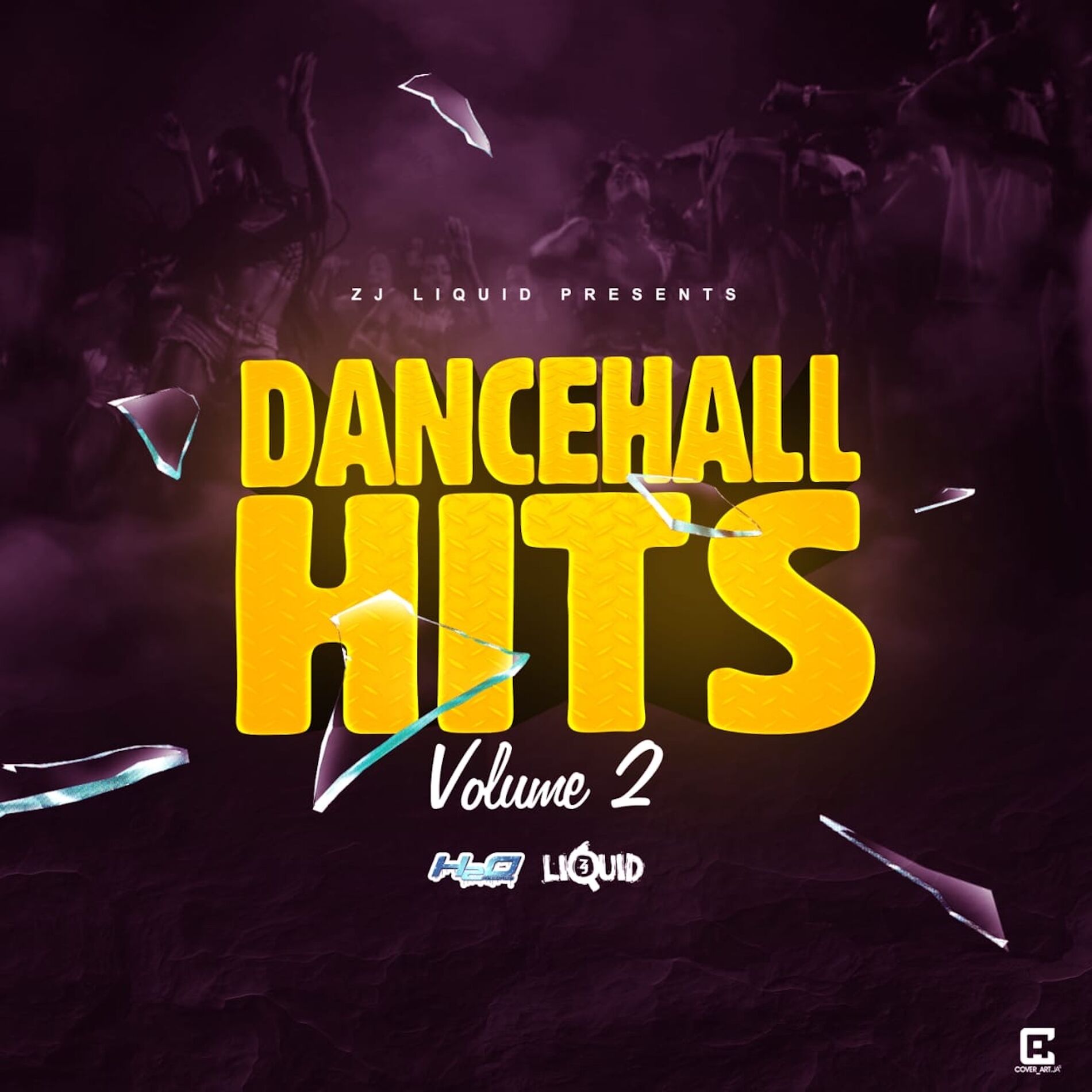 Album cover of Dancehall Hits, Vol. 2