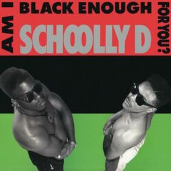 Cover of Am I Black Enough for You?