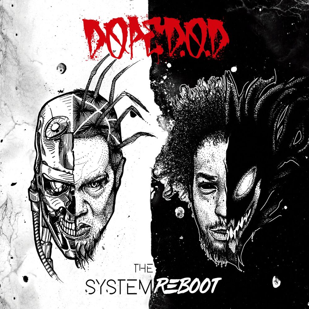 Picture of The System Reboot