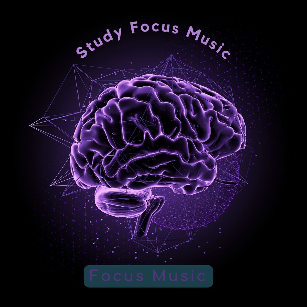 Picture of Study Focus Music