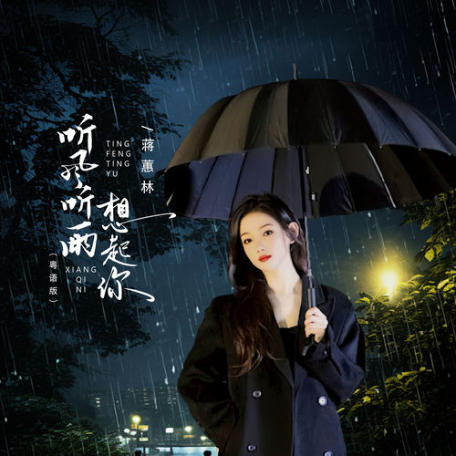 听风听雨想起你 (粤语版)