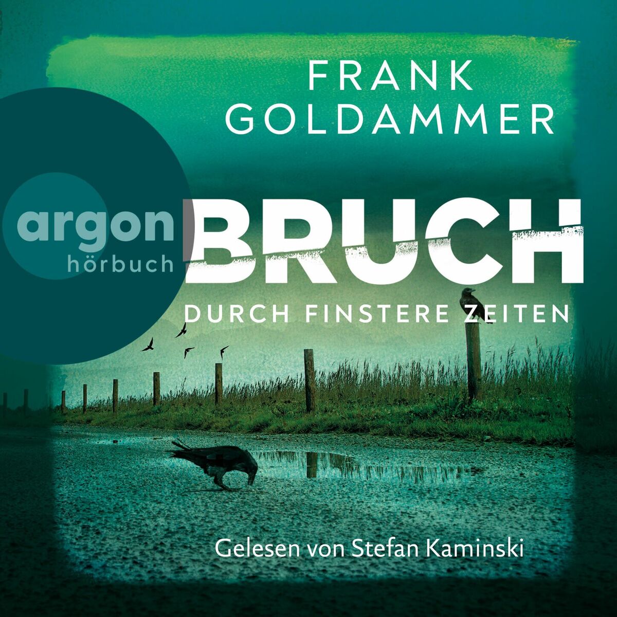 Album cover of Bruch: Durch finstere Zeiten - Felix Bruch, Band 3 (Ungekürzte Lesung)