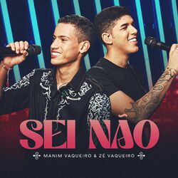 Cover of Sei Não