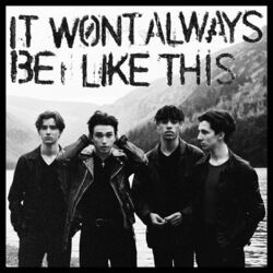 Cover of It Won't Always Be Like This