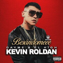 Cover of BESANDOMEEE