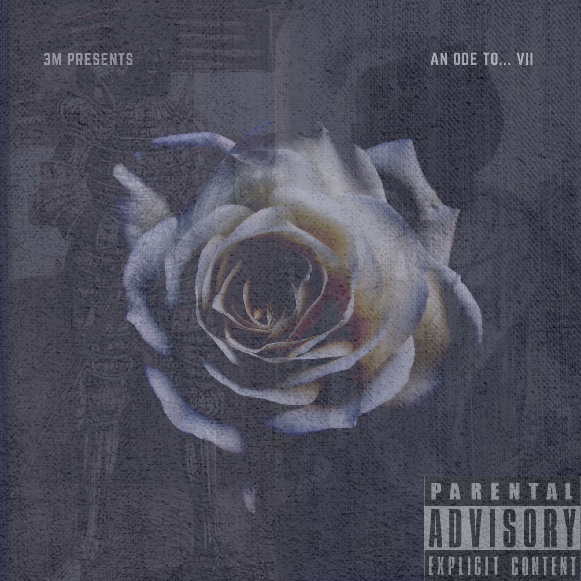 Album cover of An Ode To... VII