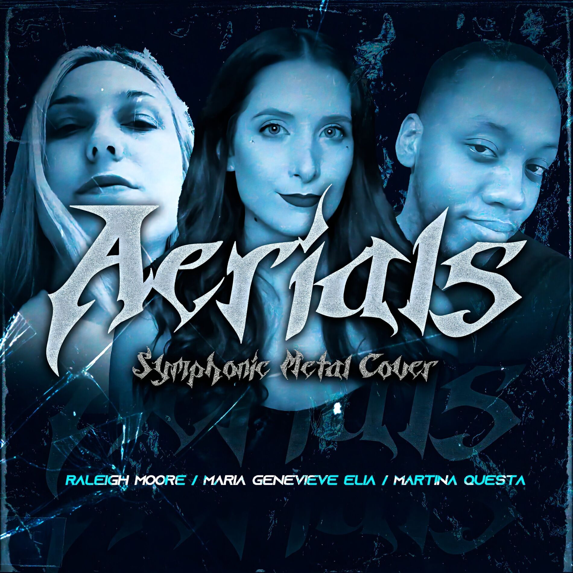 Album cover of Aerials