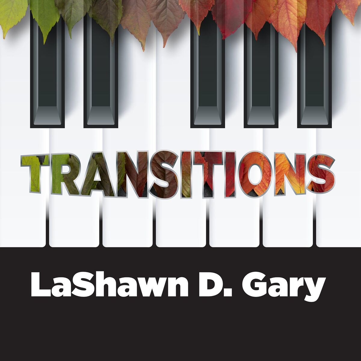 Album cover of Transitions