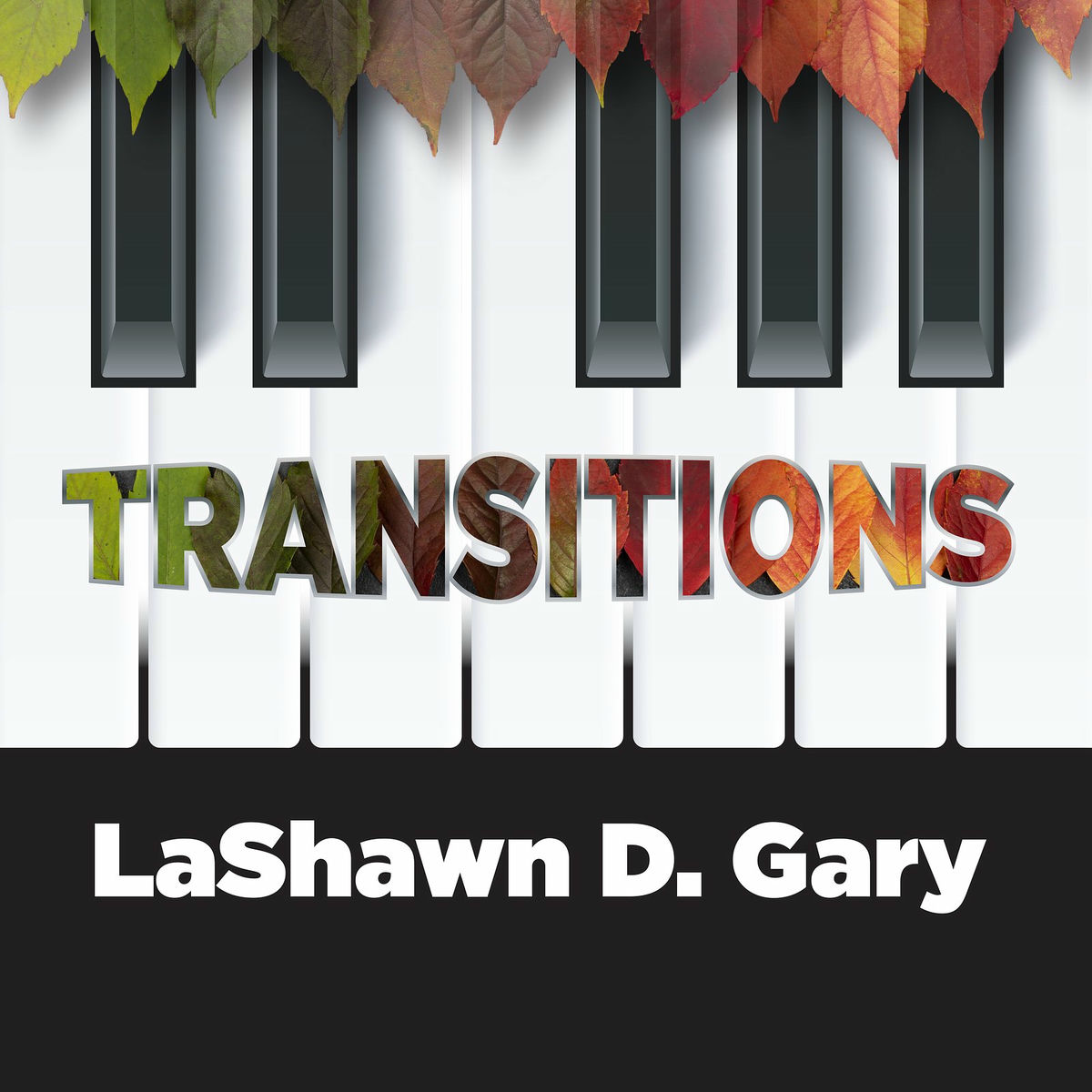 Album picture of Transitions