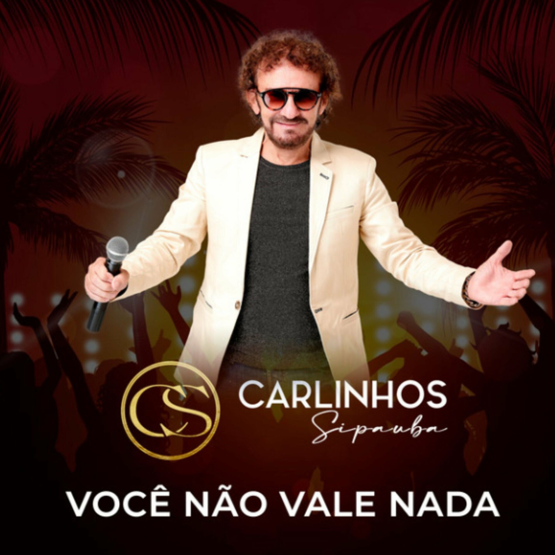 Album cover of Você Não Vale Nada