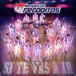 Cover of Si Te Vas A Ir