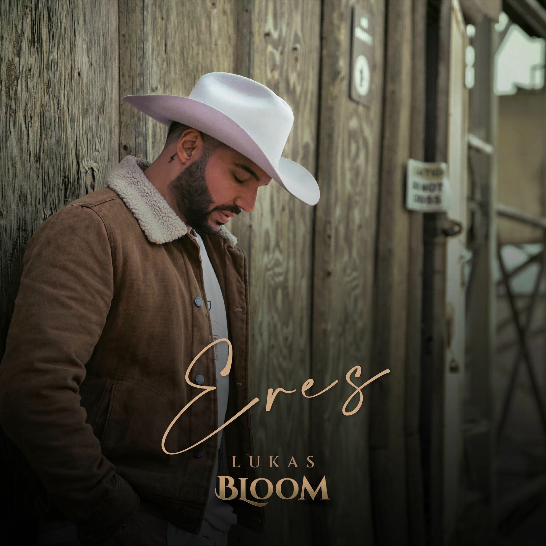 Album cover of Eres
