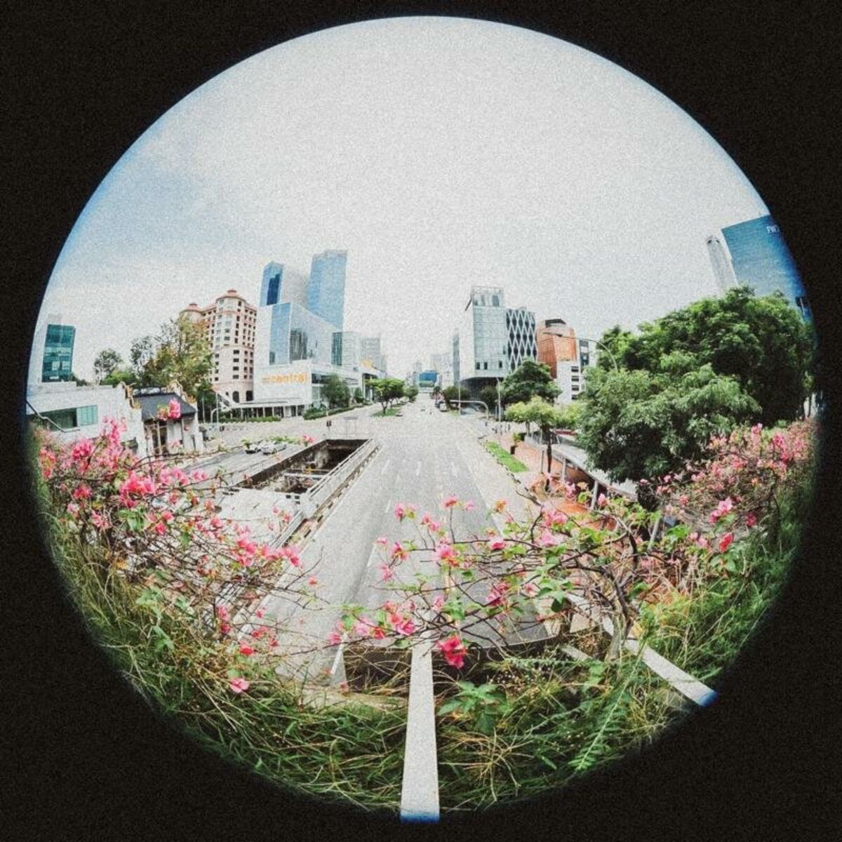 Album cover of PLA¥GRŌUND