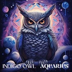 Cover of Aquarius