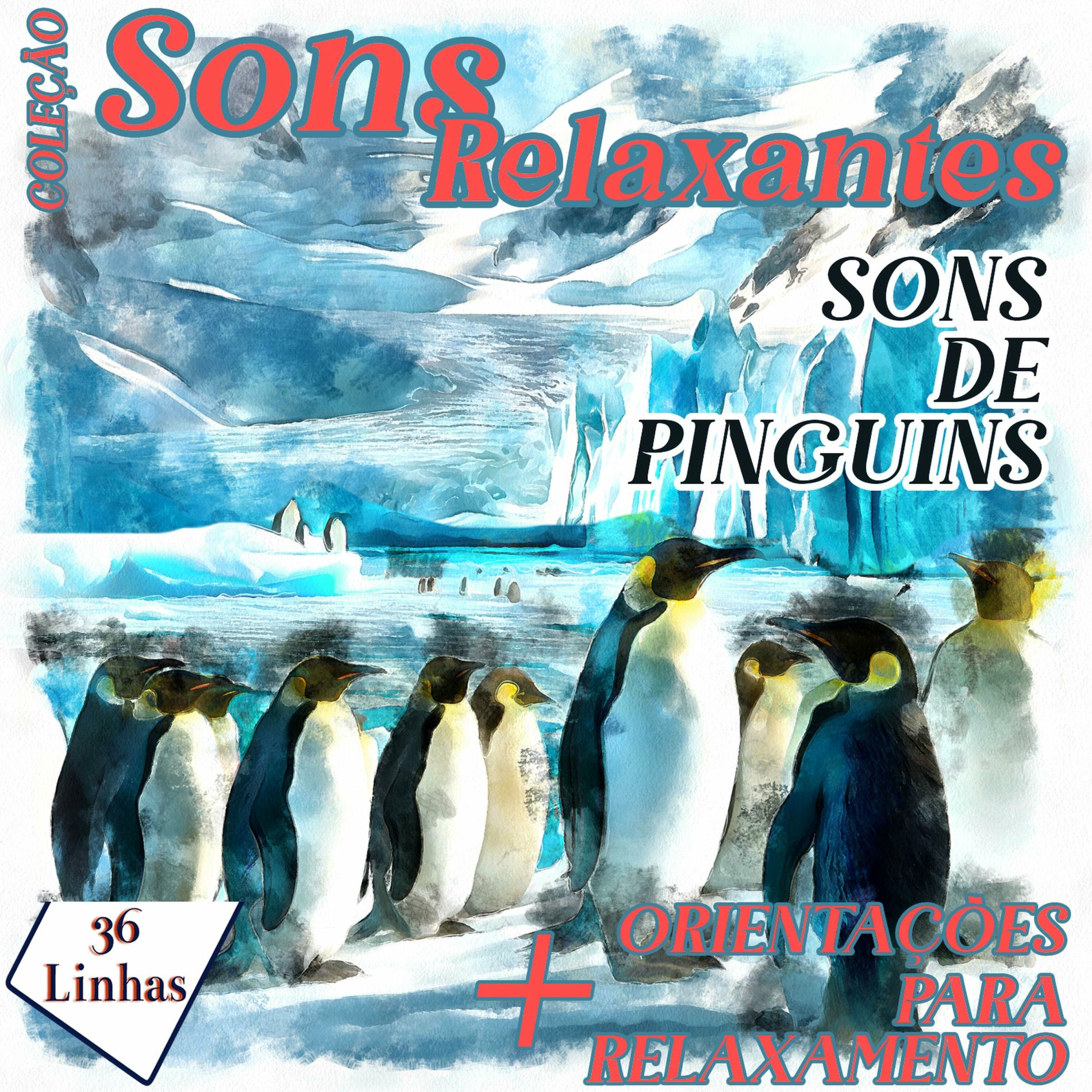 Album cover of Capítulo 01 - Coleção Sons Relaxantes - Sons de Pinguins