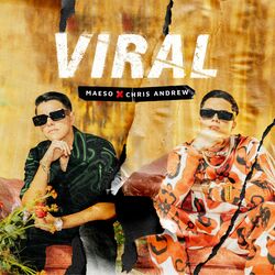 Cover of Viral